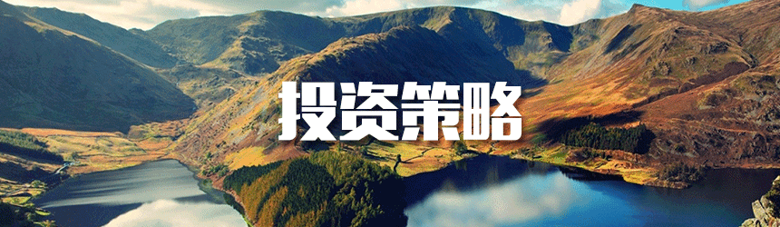 投资策略.gif