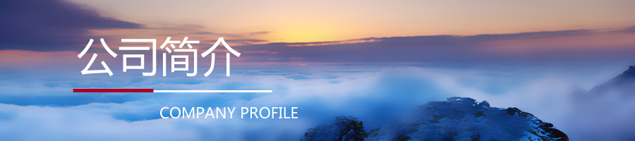 公司简介.png