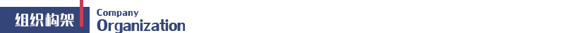 组织构架.png