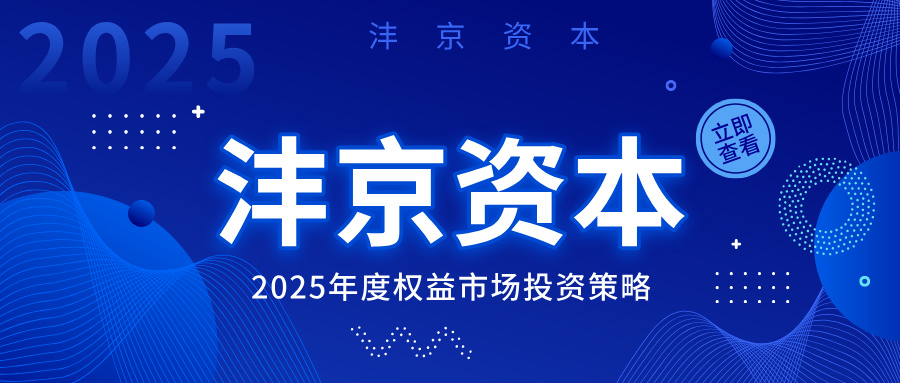 2025年度观点封面.png